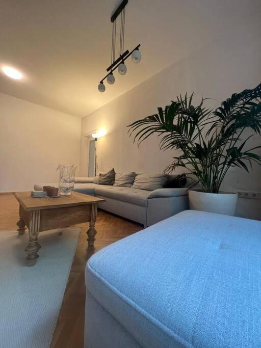Ganzes Haus In Der Altstadt, Ideal Fuer 2 Personen, 4 Gaeste Moeglich Quakenbruck Luaran gambar